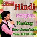 Hindi Evergreen Mashup