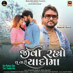 Jivi Rahyo Chu Tari Yaado Ma