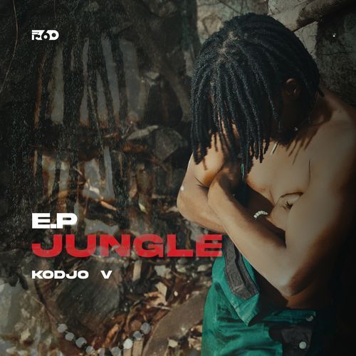 KODJO VIE (INTRO) cover art