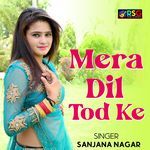 Mera Dil Tod Ke Jaane Ki Kuchh To Majburi Hogi