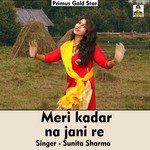 Meri kadar na jani re (Hindi Song)