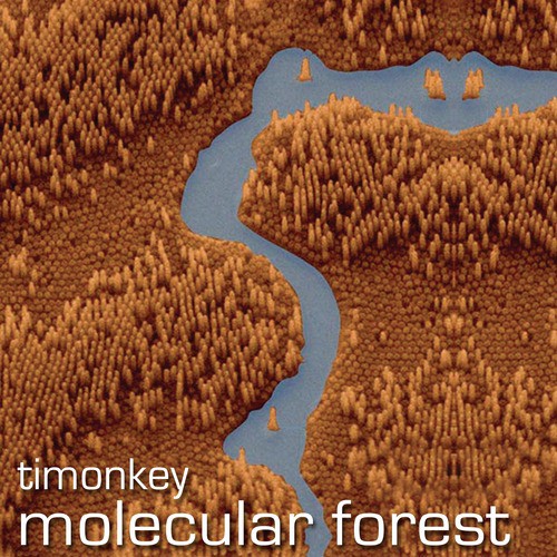 Molecular Forest