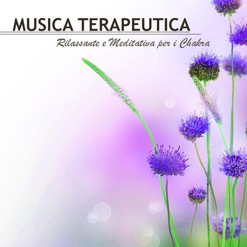 Musica Terapeutica cover art