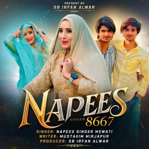 Napees Singer 8667