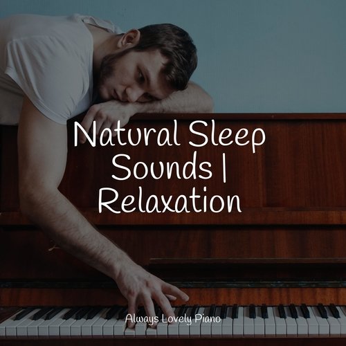 Natural Sleep Sounds | Relaxation