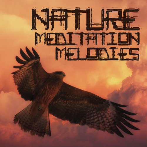Nature Meditation Melodies