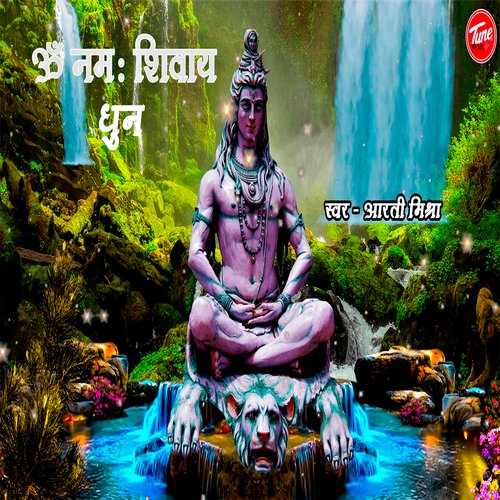 Om Namah Shivai Dhun