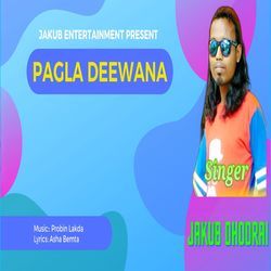 PAGLA DEEWANA-QFAmWSZ5blE