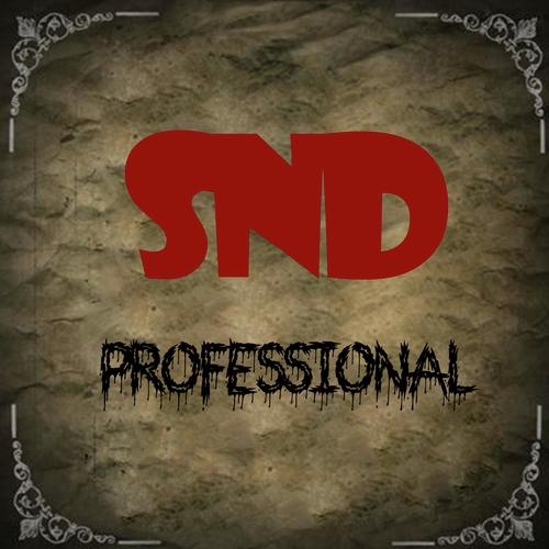 Snd Professional_poster_image