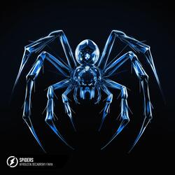 Spiders-HSQRByEGVn0