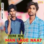 Tere Bin Man Lage Naay
