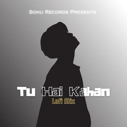 Tu Hai Kahan (LoFi Mix)_poster_image