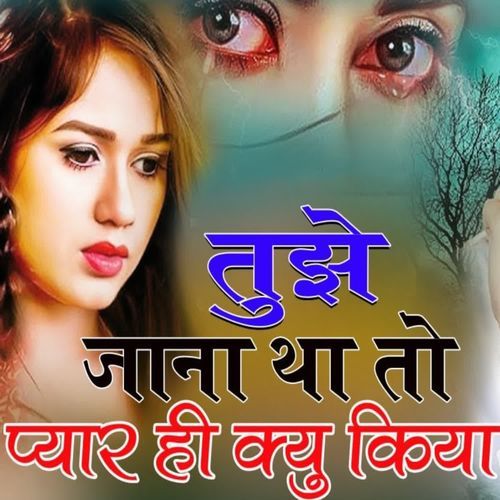 Tujhe Jana Tha To Pyar hi kyu kiya