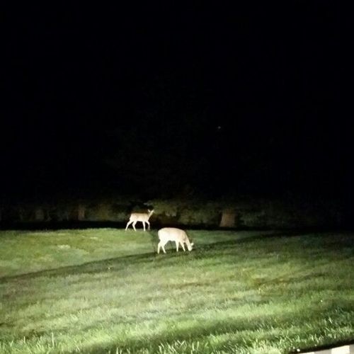 we'll always share the same moon