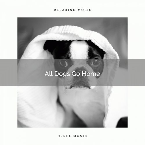 Relax Dog cover art
