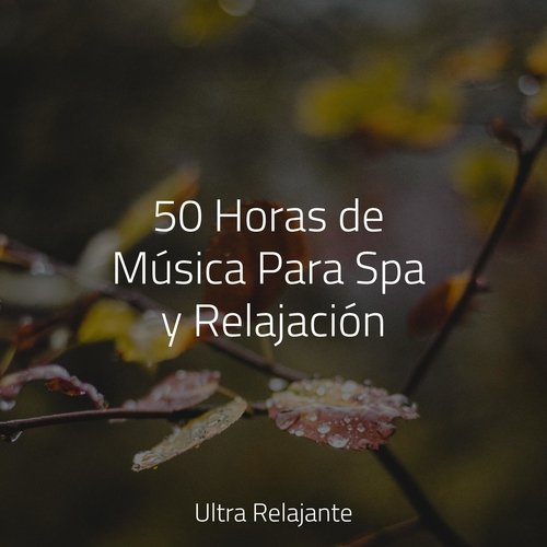 Secuencia De Sueño
