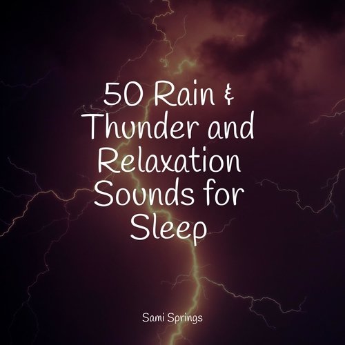 50 Rain &amp; Thunder and Relaxation Sounds for Sleep_poster_image