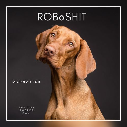 Alphatier (feat. DWX)