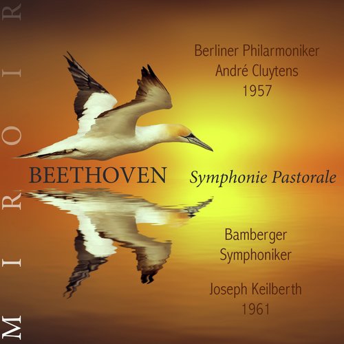 Symphonie n°6, Op. 68 "Pastorale": IV. Allegro (Orage, tempête) cover art