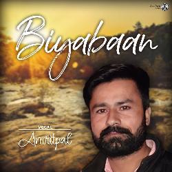 Biybaan-KT0MHAZGWEQ