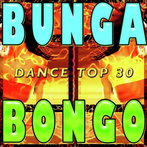 Bunga Bongo Dance Top 30 (Best Hits on the Floor)