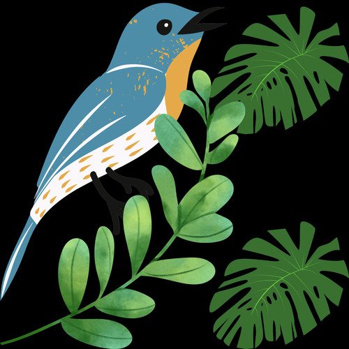 Burung Prenjak