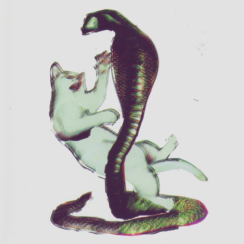 Cat and the Cobra