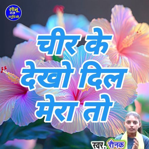 Chir Ke Dekho Dil Mera To