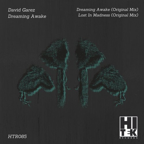 Lost In Madness (Original Mix)
