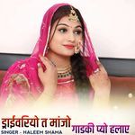 Driveriyo t manjo gaadki pyo halaai