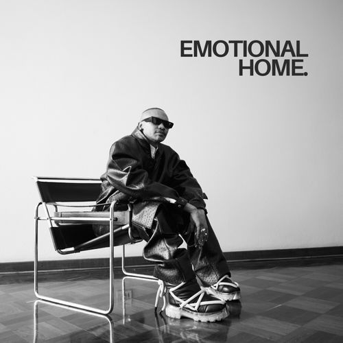 Emotional Home_poster_image