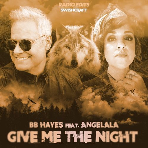 Give Me The Night (Radio Edits)_poster_image