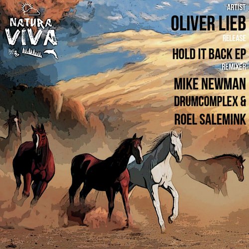 Hold It Back (Drumcomplex & Roel Salemink Remix) cover art