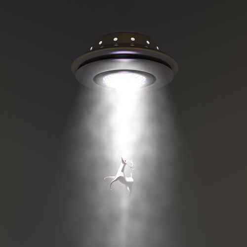 Hovering Greys