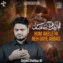 Hum Akele Hi Reh Gaye Abbas As