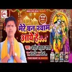 Mere Ghan Shayam Aye Hai (Bhakti Song)