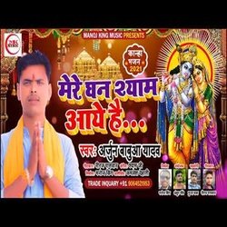 Mere Ghan Shayam Aye Hai (Bhakti Song)