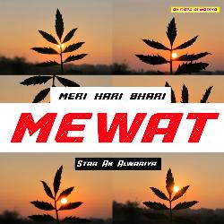 Meri Hari Bhari Mewat-MgYRfkJRVkk