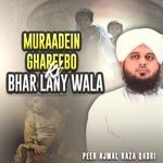 Muraadein Ghareebo ki Bhar lany wala artwork