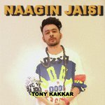 Naagin Jaisi (From Sangeetkaar)