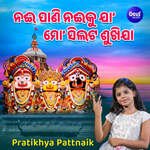 Naee Pani Naeeku Jaa Mo Silata Sukhijaa