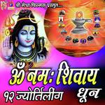 Om Namah Shivay