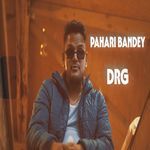 Pahari Bandey