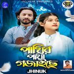 Pakhir Pakha Gojaise