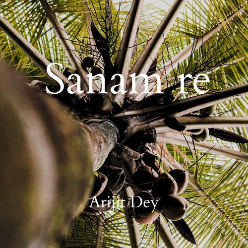 Sanam re
