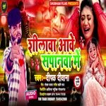 Shilva aave sapanava me