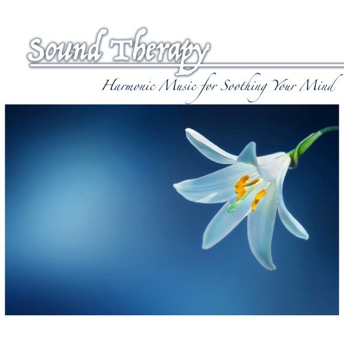 Sound Therapy - Harmonic Music for Soothing Your Mind, Body & Spirit, Calm Down Quickly and Reduce Stress