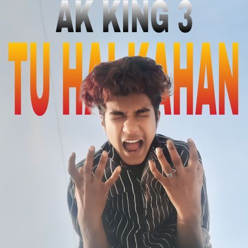 TU HAI KAHAN