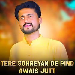 Tere Sohreyan De Pind-PDscHAN,dH4