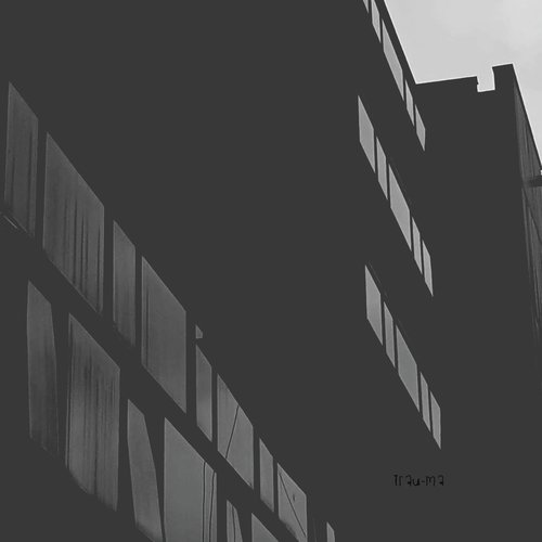 FLG20B (Original Mix) cover art